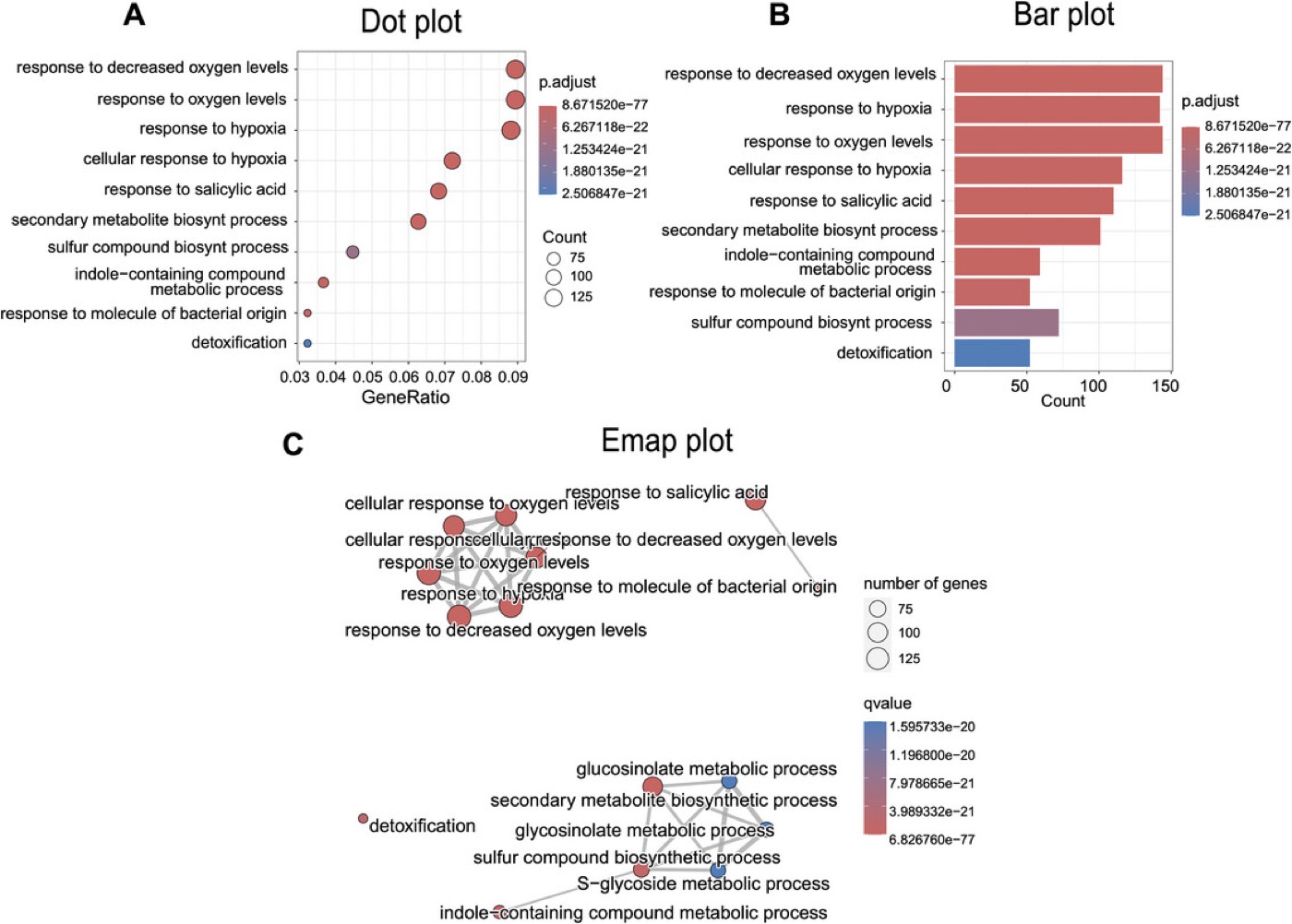 기능분석 결과 예시: dot plot·bar plot·enrichment map
