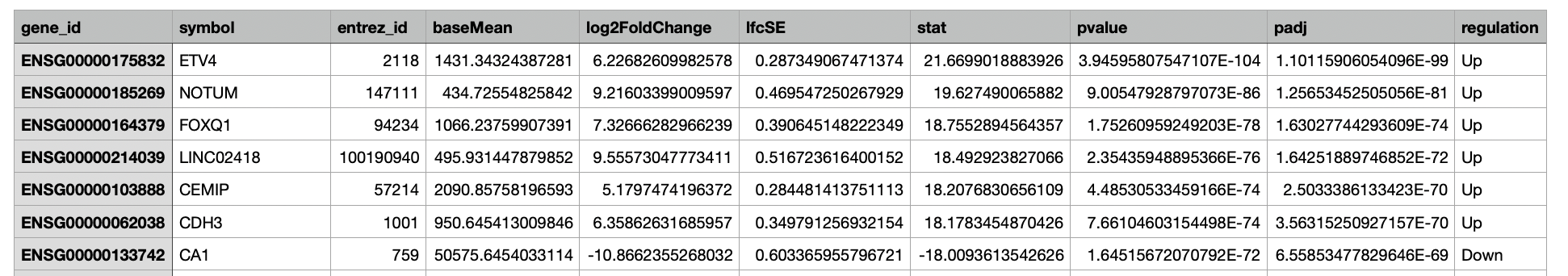 GSE251845 DEG 결과표 예시. baseMean, log2FoldChange, lfcSE, stat, pvalue, padj와 regulation 열이 보인다.